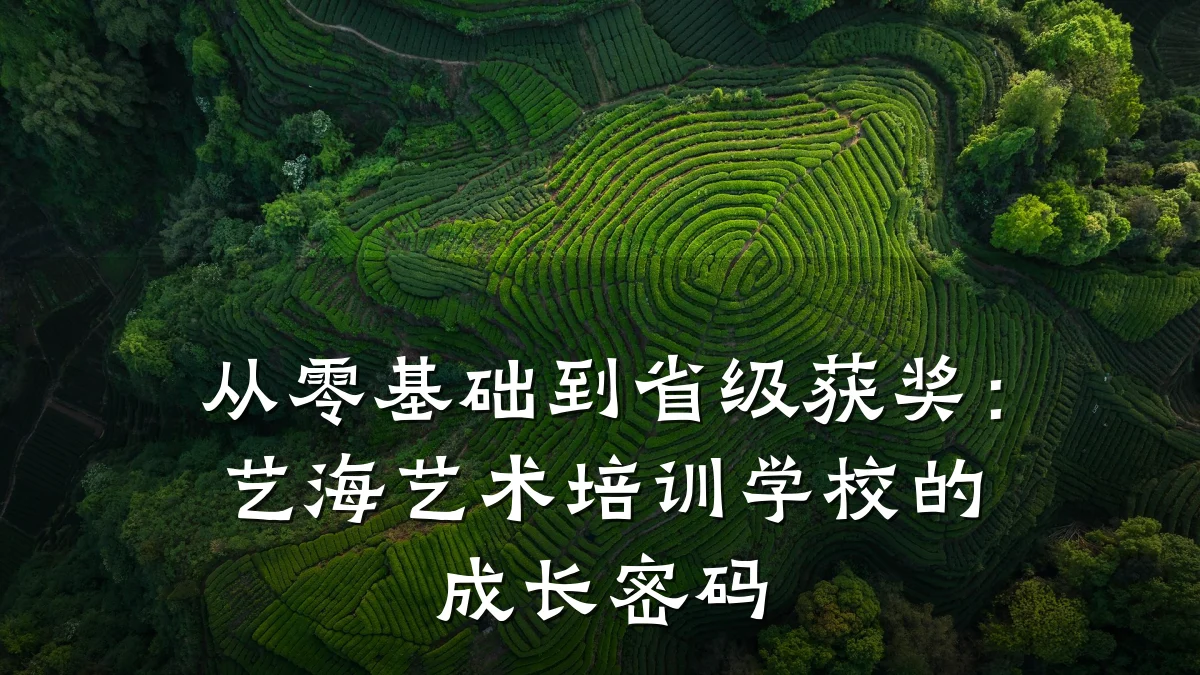 从零基础到省级获奖：艺海艺术培训学校的成长密码