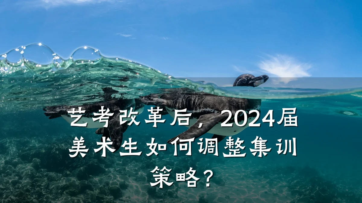 艺考改革后，2024届美术生如何调整集训策略？