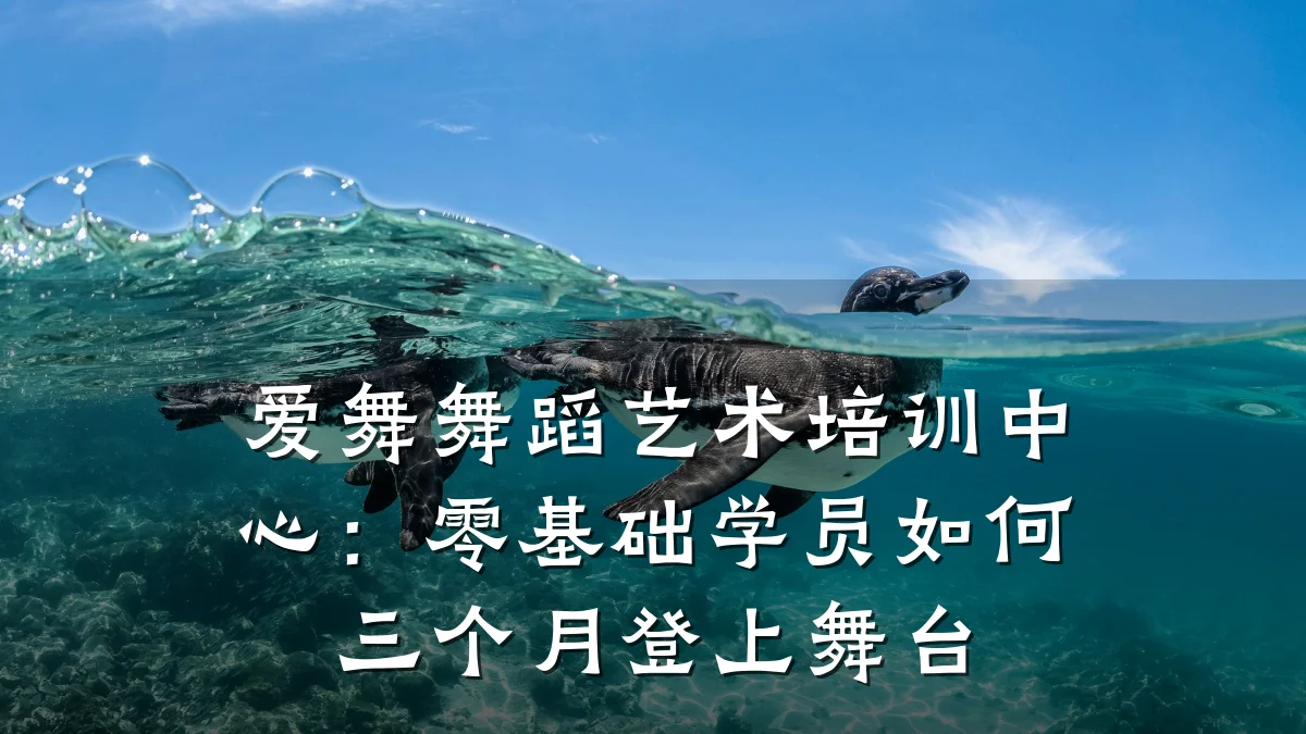 爱舞舞蹈艺术培训中心：零基础学员如何三个月登上舞台