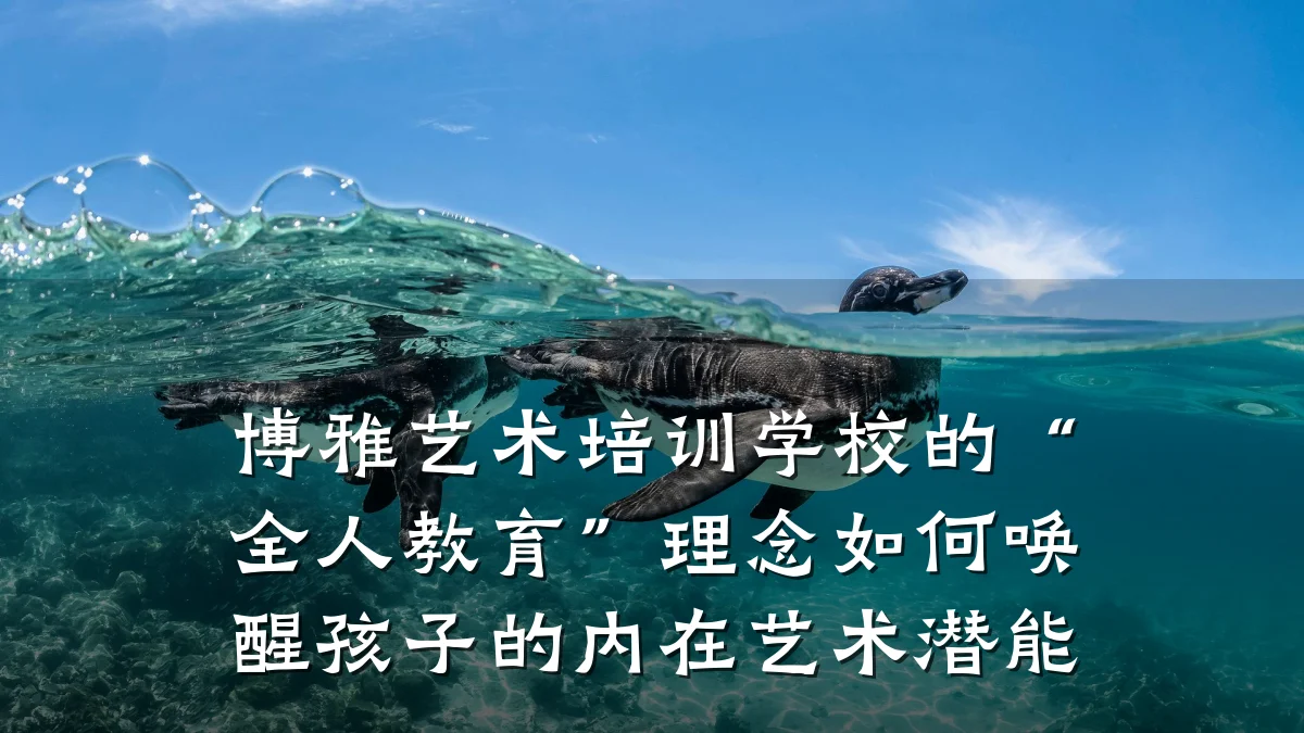 博雅艺术培训学校的“全人教育”理念如何唤醒孩子的内在艺术潜能