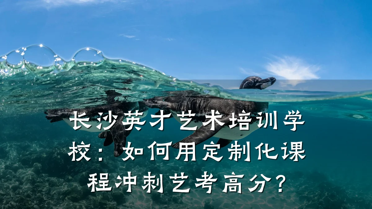 长沙英才艺术培训学校：如何用定制化课程冲刺艺考高分？