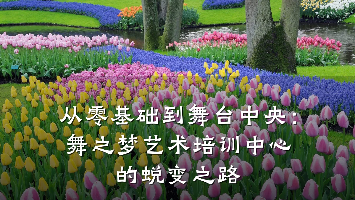 从零基础到舞台中央：舞之梦艺术培训中心的蜕变之路