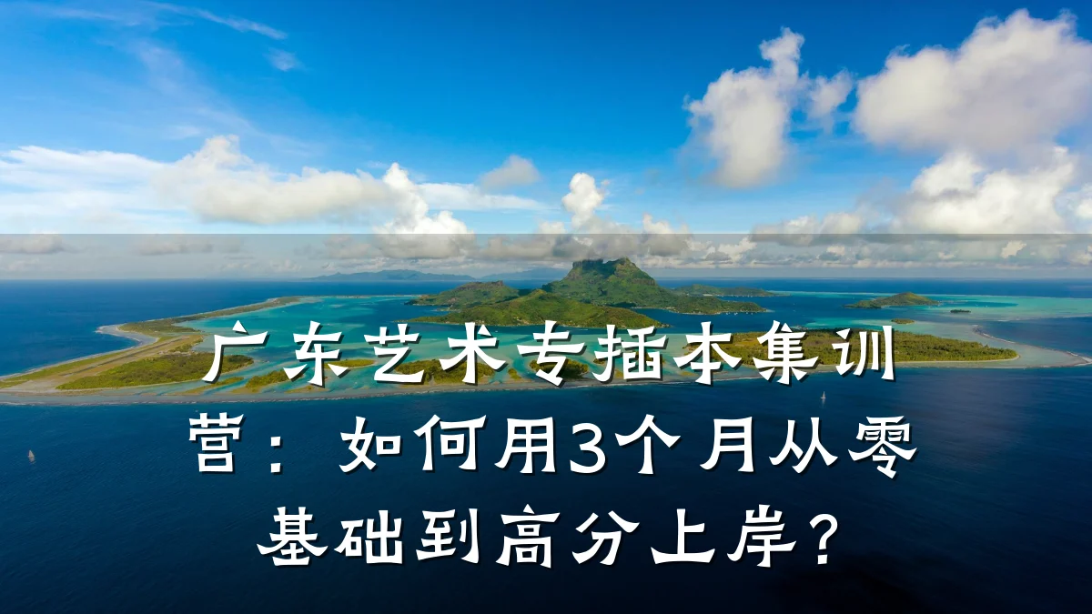 广东艺术专插本集训营：如何用3个月从零基础到高分上岸？