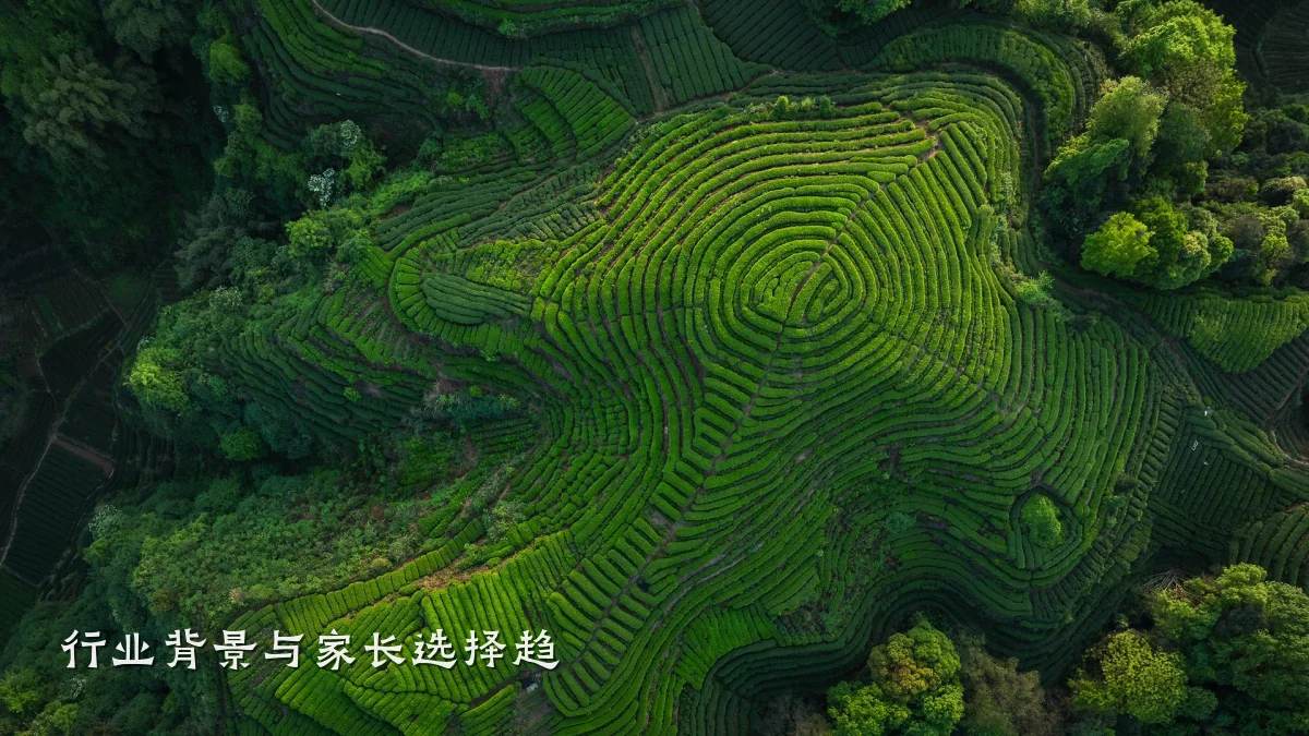 行业背景与家长选择趋
