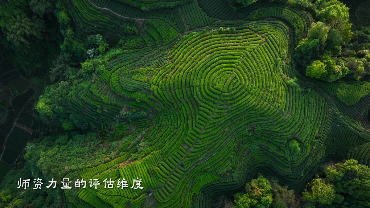 师资力量的评估维度