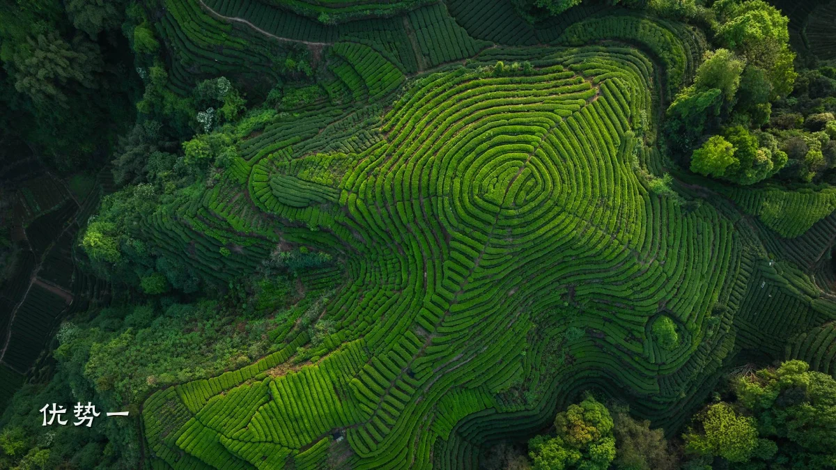 优势一