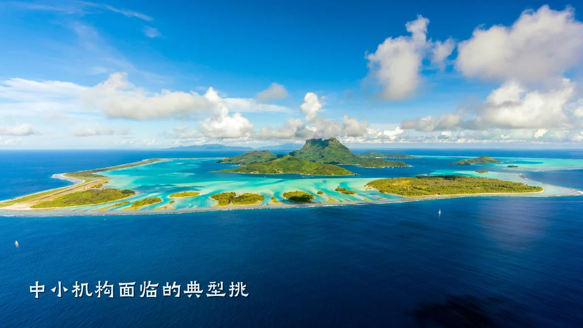 中小机构面临的典型挑