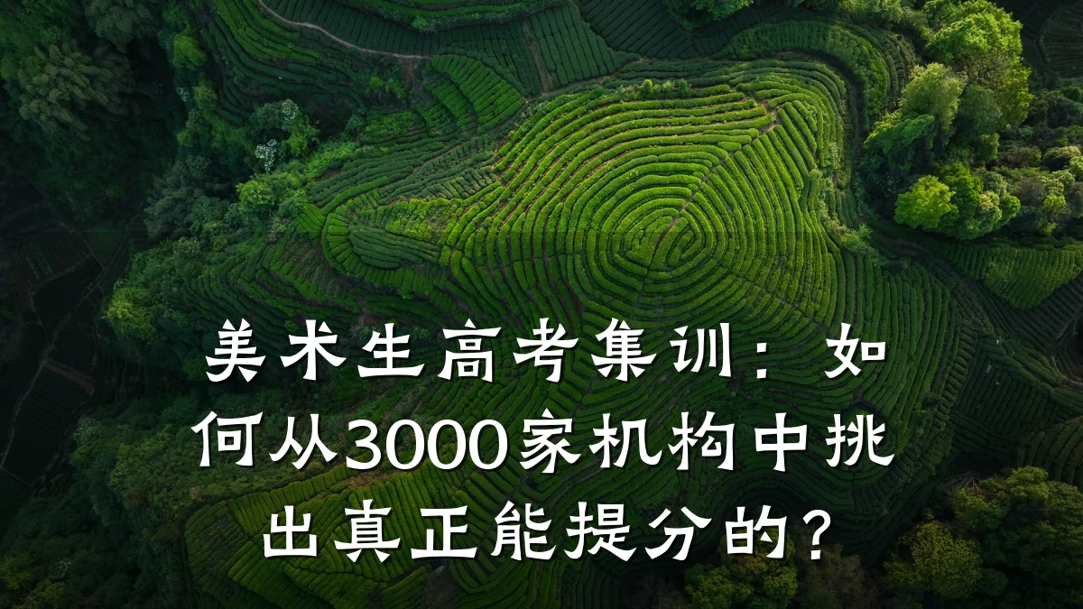 美术生高考集训：如何从3000家机构中挑出真正能提分的？