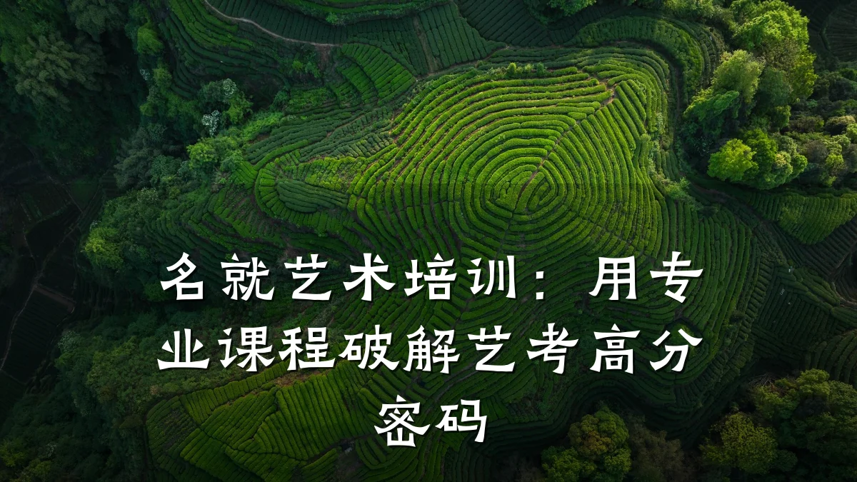 名就艺术培训：用专业课程破解艺考高分密码