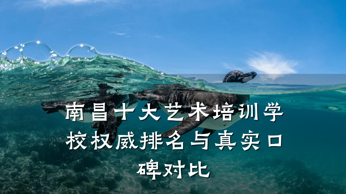 南昌十大艺术培训学校权威排名与真实口碑对比
