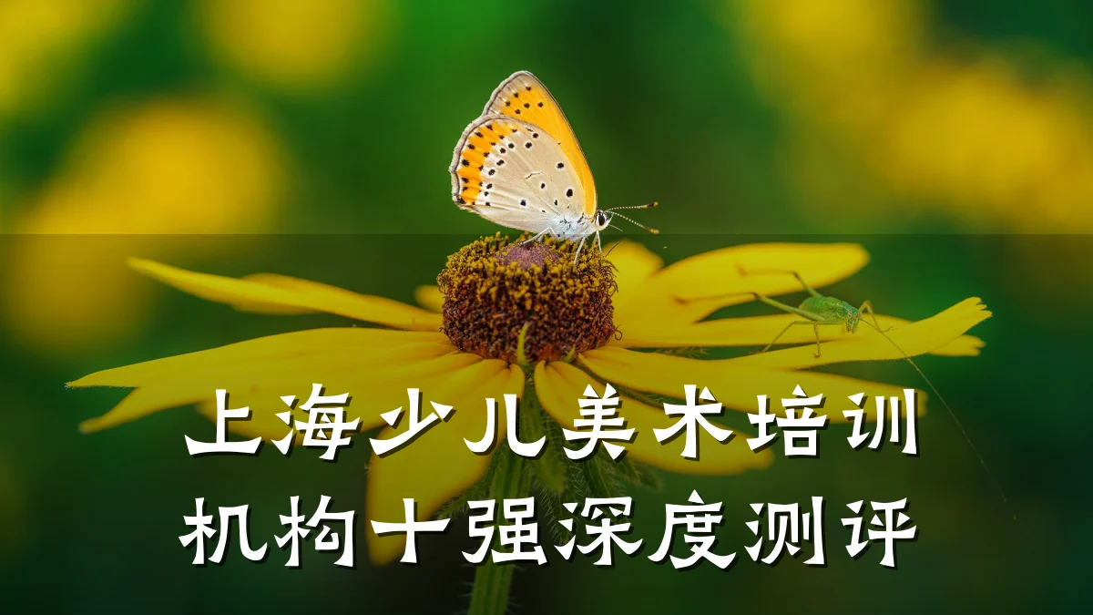 上海少儿美术培训机构十强深度测评