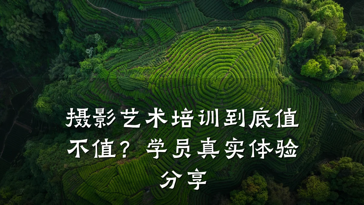 摄影艺术培训到底值不值？学员真实体验分享