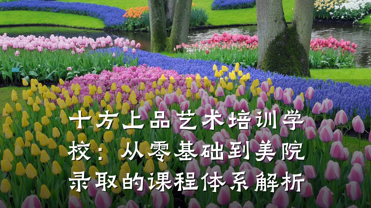 十方上品艺术培训学校：从零基础到美院录取的课程体系解析