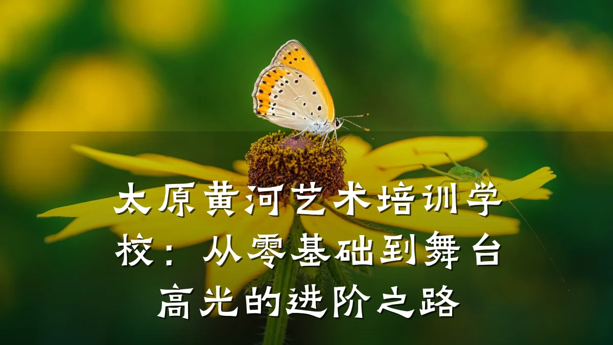 太原黄河艺术培训学校：从零基础到舞台高光的进阶之路