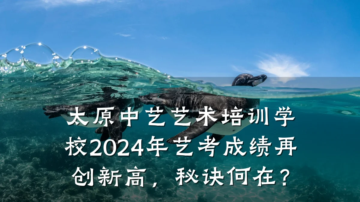 太原中艺艺术培训学校2024年艺考成绩再创新高，秘诀何在？
