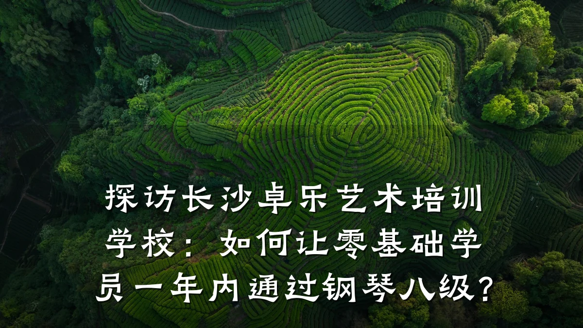 探访长沙卓乐艺术培训学校：如何让零基础学员一年内通过钢琴八级？