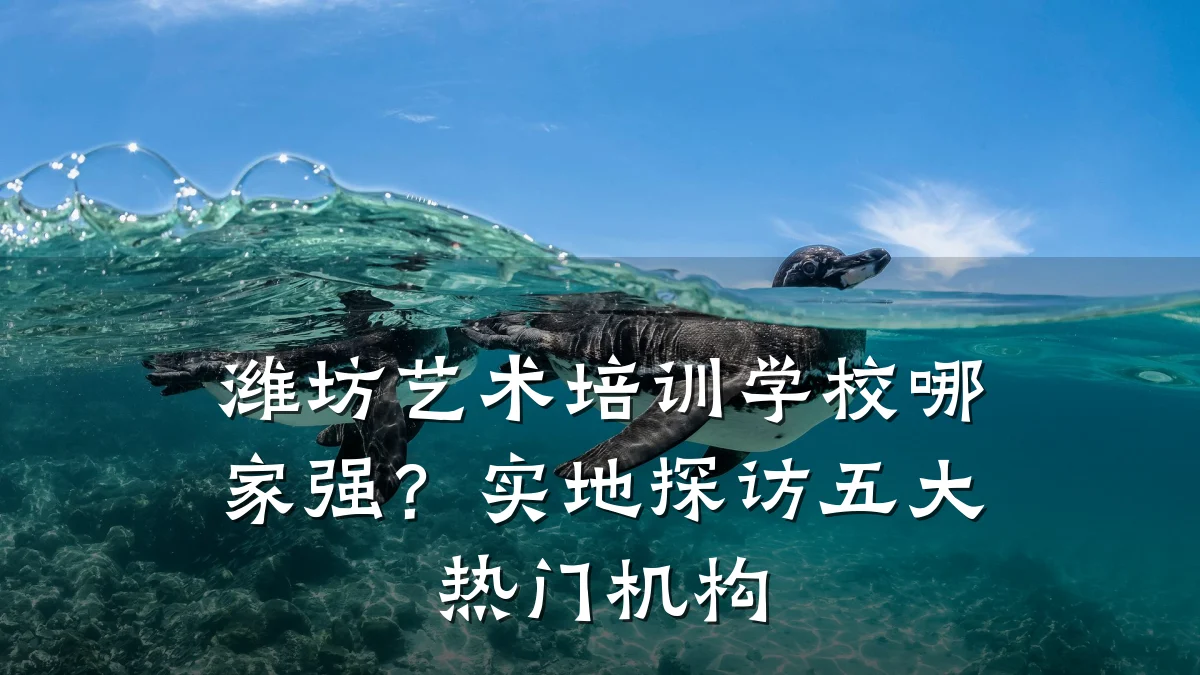 潍坊艺术培训学校哪家强？实地探访五大热门机构