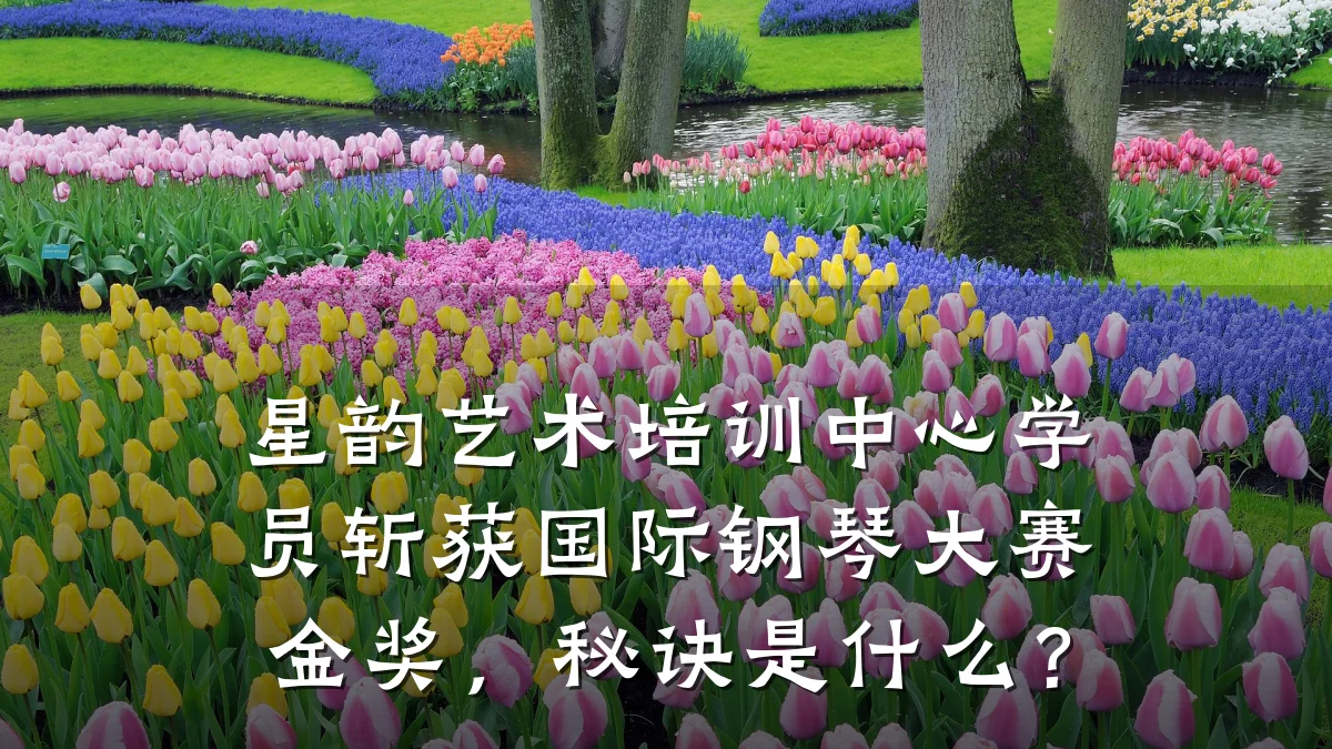 星韵艺术培训中心学员斩获国际钢琴大赛金奖，秘诀是什么？