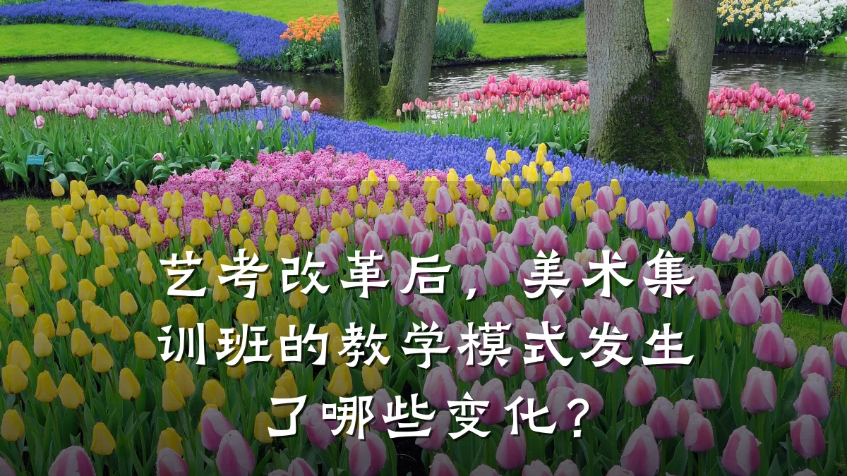 艺考改革后，美术集训班的教学模式发生了哪些变化？