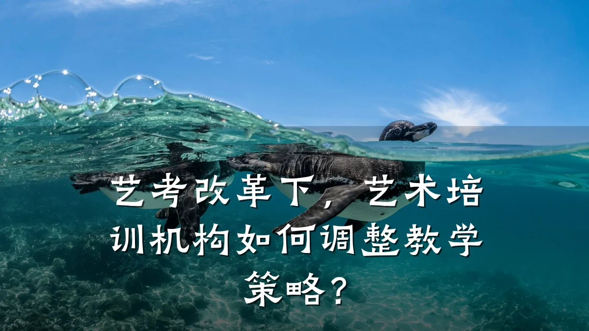 艺考改革下，艺术培训机构如何调整教学策略？