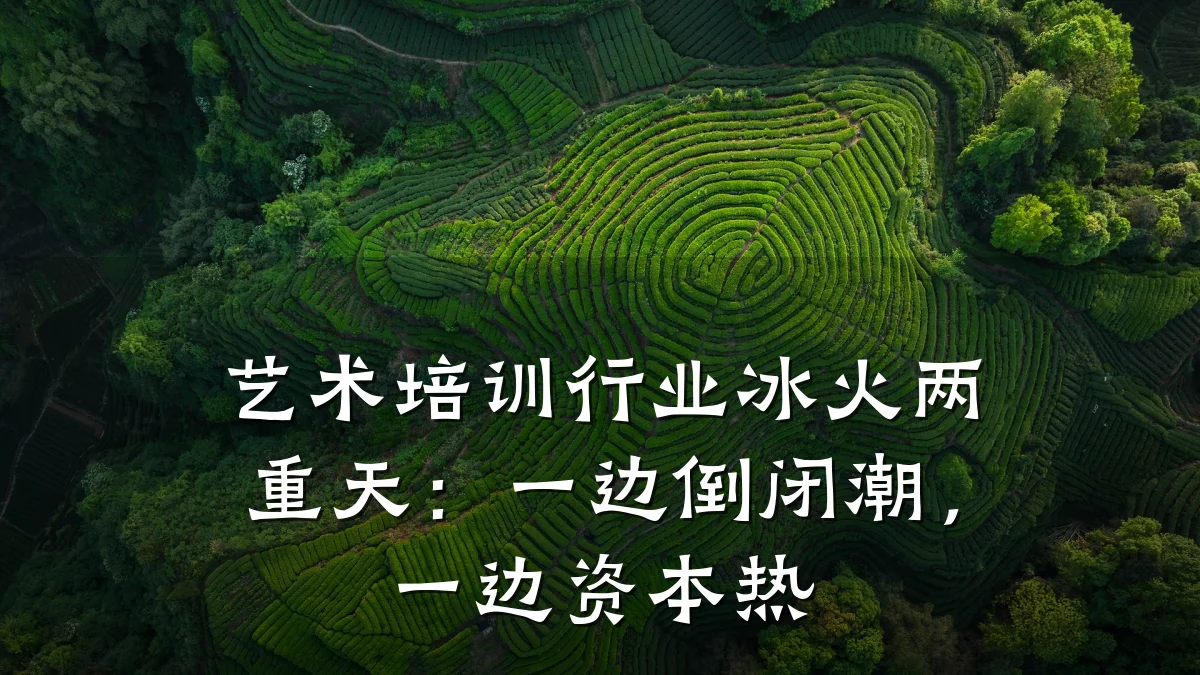艺术培训行业冰火两重天：一边倒闭潮，一边资本热