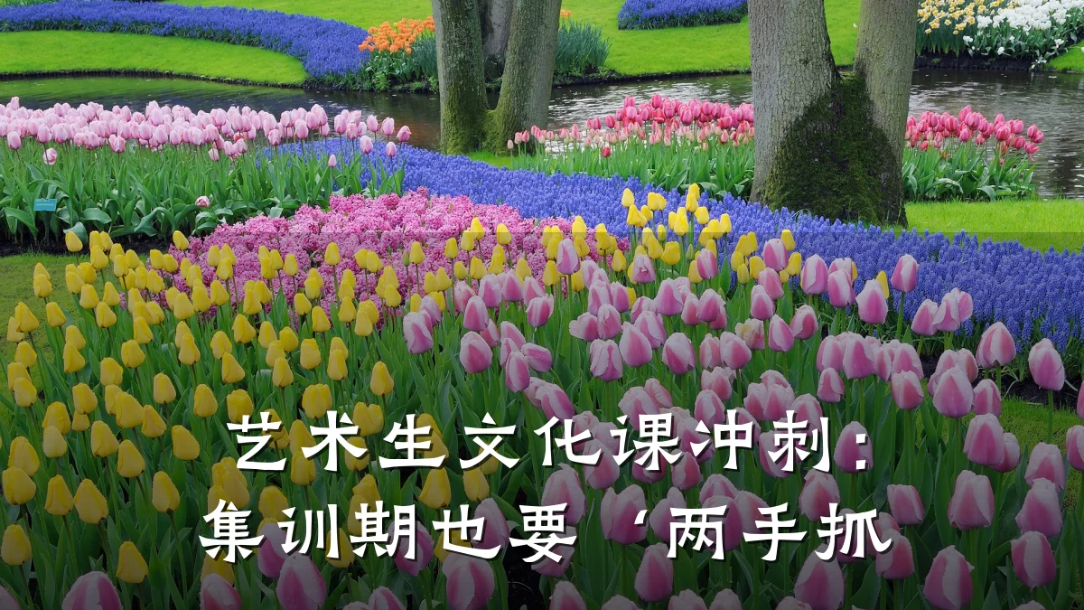 艺术生文化课冲刺：集训期也要‘两手抓
