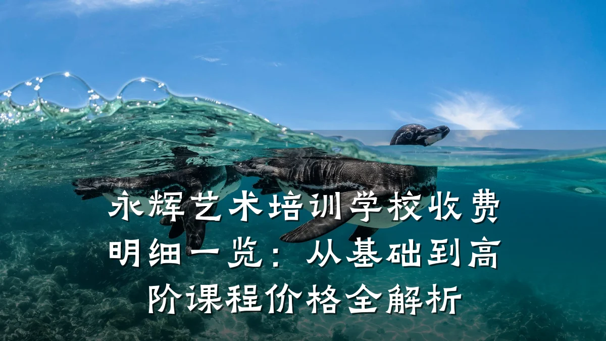 永辉艺术培训学校收费明细一览：从基础到高阶课程价格全解析