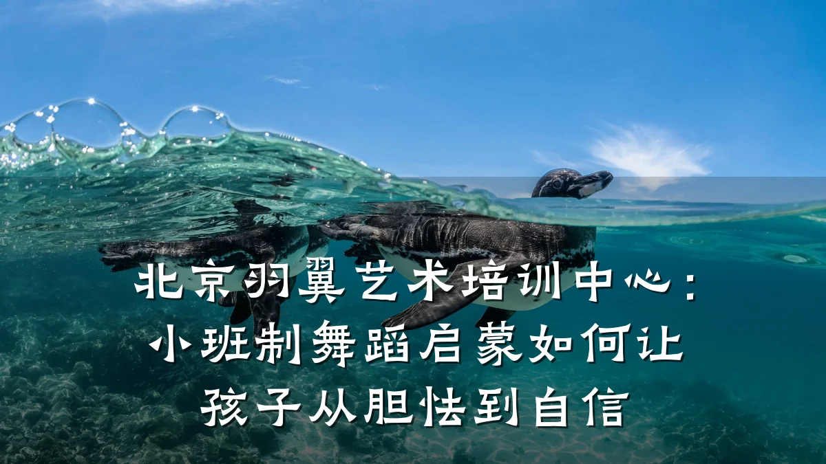 北京羽翼艺术培训中心：小班制舞蹈启蒙如何让孩子从胆怯到自信