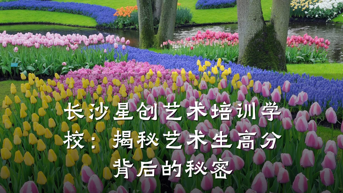 长沙星创艺术培训学校:揭秘艺术生高分背后的秘密