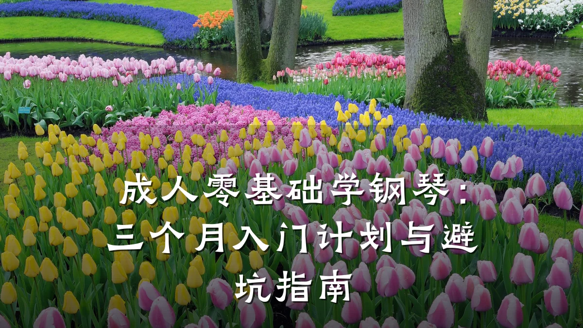 成人零基础学钢琴:三个月入门计划与避坑指南