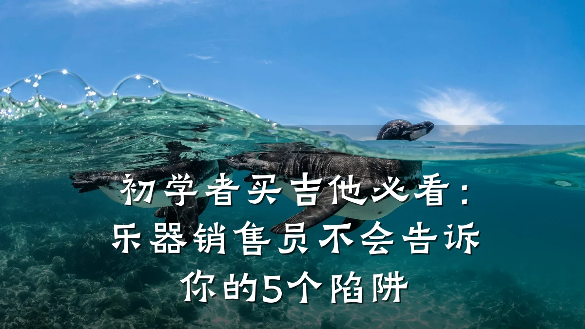 初学者买吉他必看：乐器销售员不会告诉你的5个陷阱
