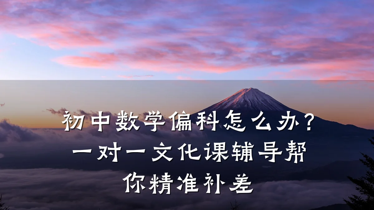 初中数学偏科怎么办？一对一文化课辅导帮你精准补差