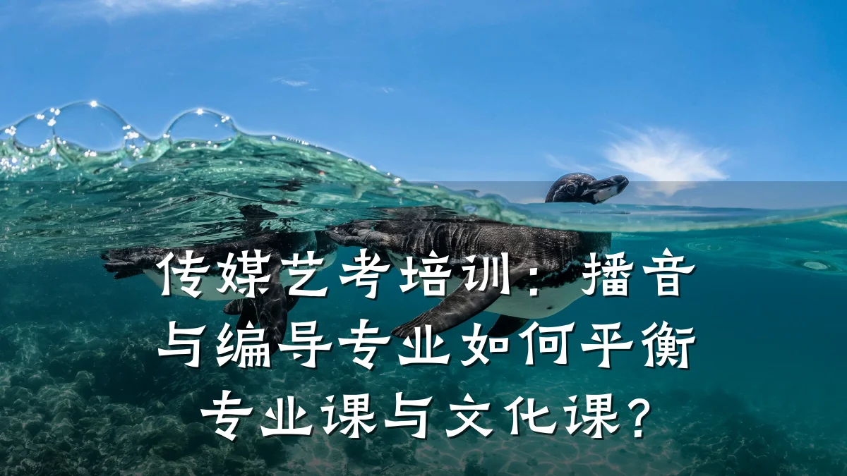 传媒艺考培训：播音与编导专业如何平衡专业课与文化课？