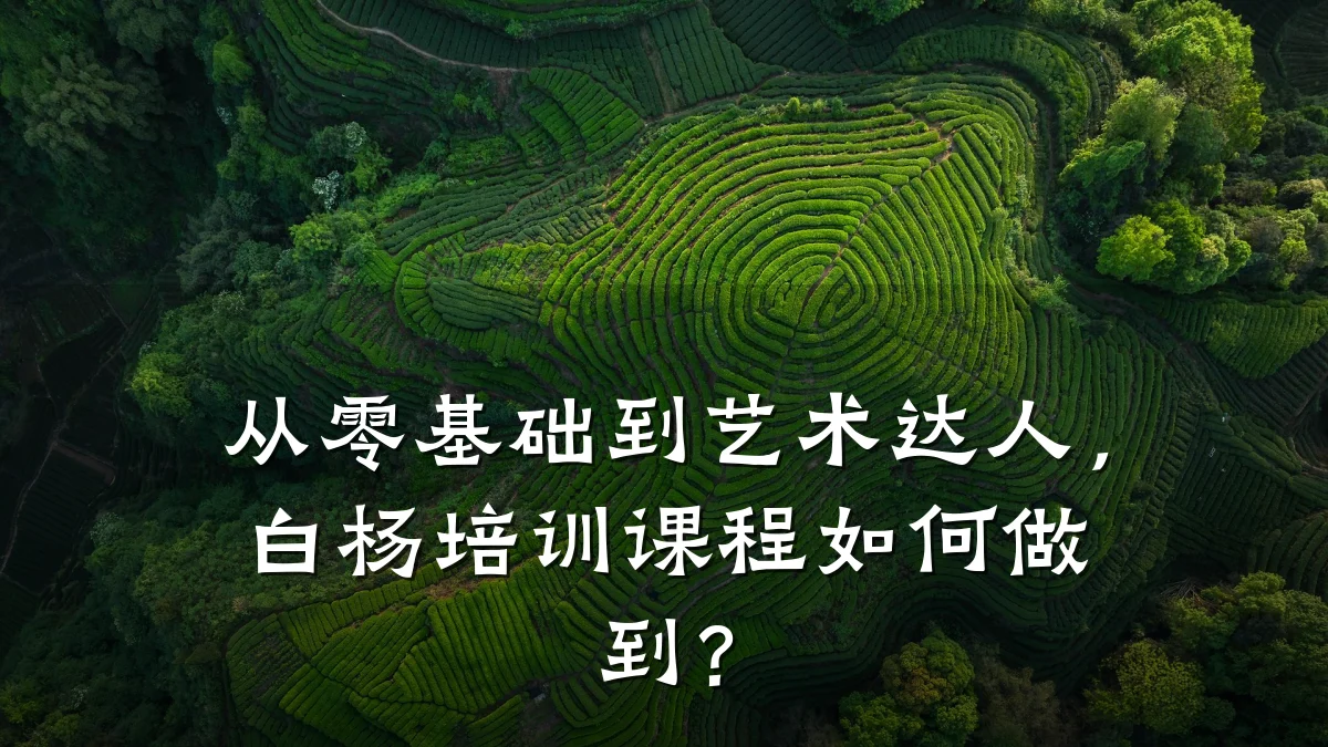 从零基础到艺术达人，白杨培训课程如何做到？