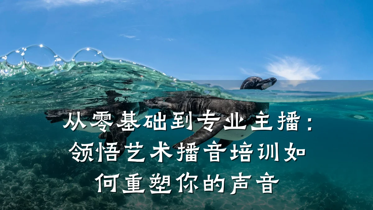 从零基础到专业主播：领悟艺术播音培训如何重塑你的声音