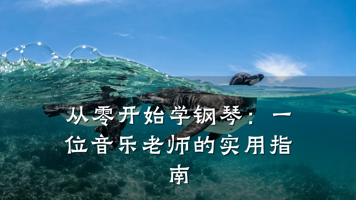 从零开始学钢琴:一位音乐老师的实用指南
