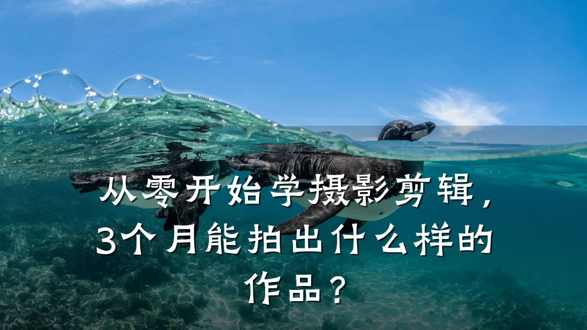 从零开始学摄影剪辑，3个月能拍出什么样的作品？