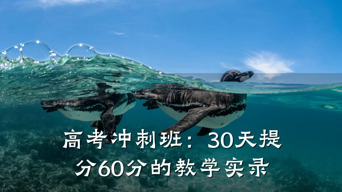 高考冲刺班：30天提分60分的教学实录