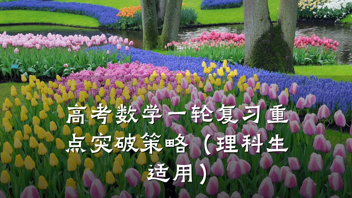 高考数学一轮复习重点突破策略（理科生适用）