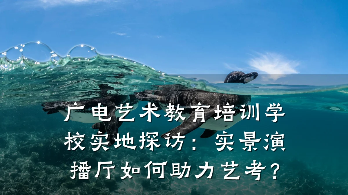 广电艺术教育培训学校实地探访：实景演播厅如何助力艺考？