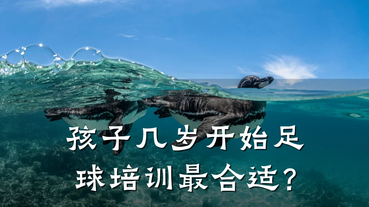 孩子几岁开始足球培训最合适？