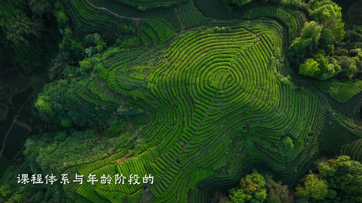 课程体系与年龄阶段的