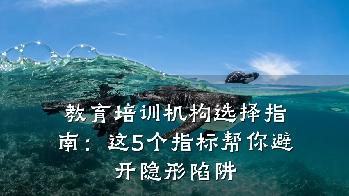 教育培训机构选择指南:这5个指标帮你避开隐形陷阱
