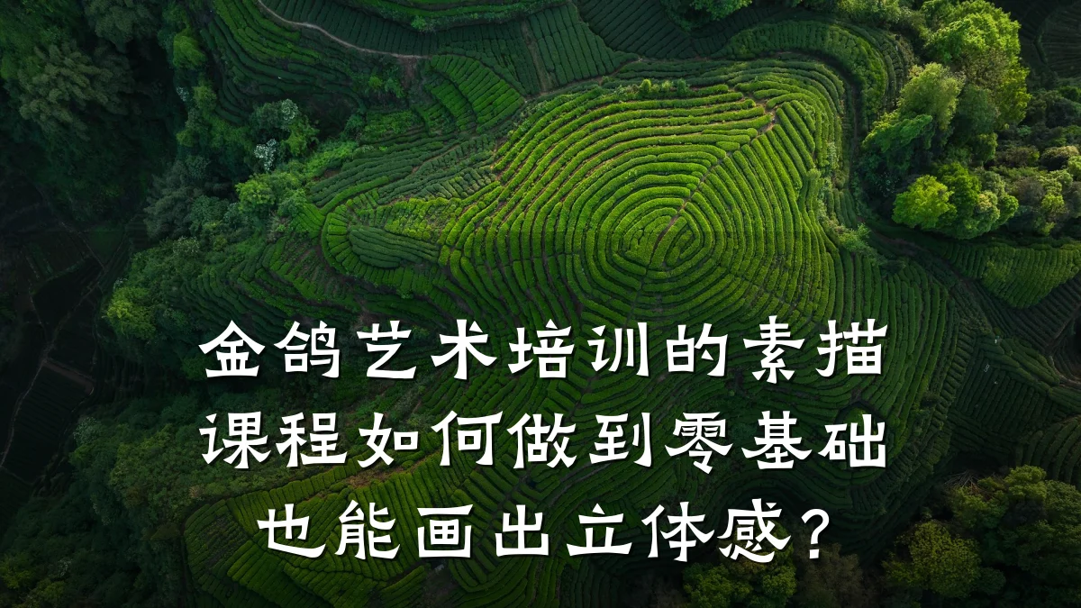 金鸽艺术培训的素描课程如何做到零基础也能画出立体感？