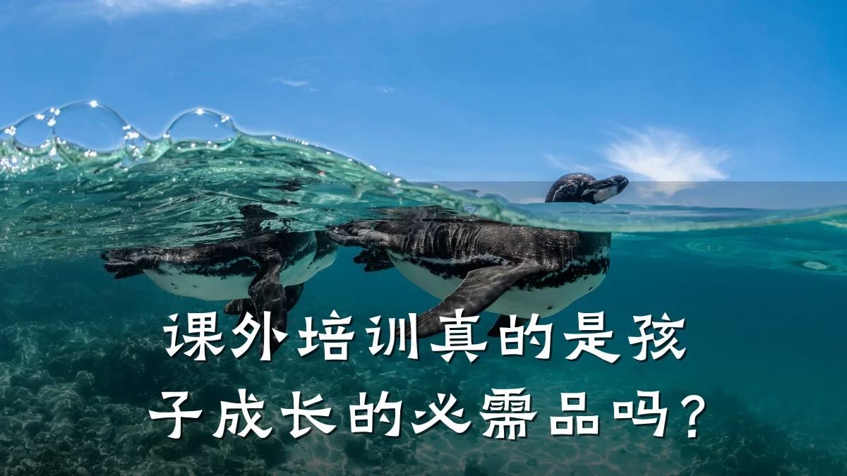 课外培训真的是孩子成长的必需品吗？