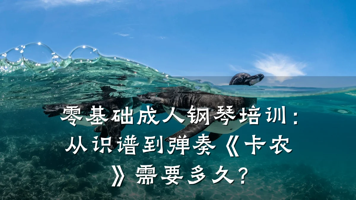 零基础成人钢琴培训：从识谱到弹奏《卡农》需要多久？
