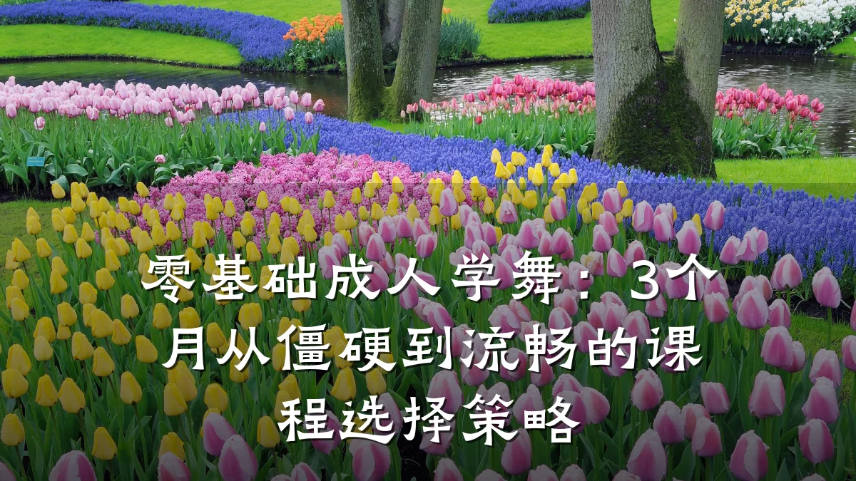 零基础成人学舞：3个月从僵硬到流畅的课程选择策略