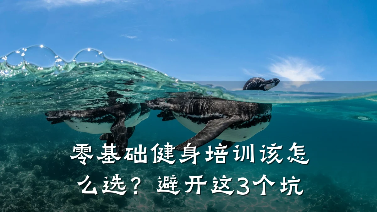 零基础健身培训该怎么选？避开这3个坑