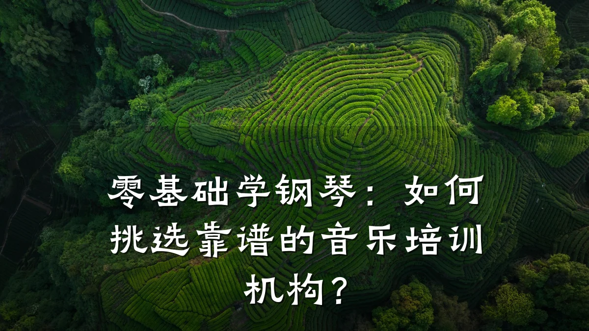 零基础学钢琴：如何挑选靠谱的音乐培训机构？