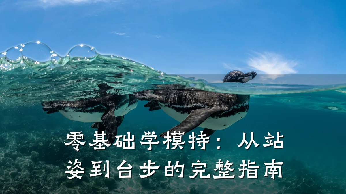 零基础学模特:从站姿到台步的完整指南